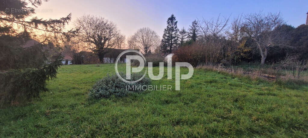 TERRAIN à bâtir - 40m de façade - 1 600m² à Mont-Saint-Éloi - photo 4