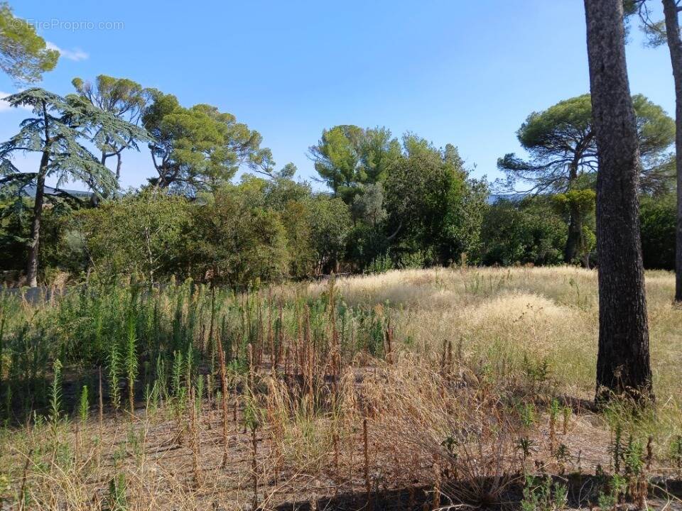 Terrain à COURNONSEC