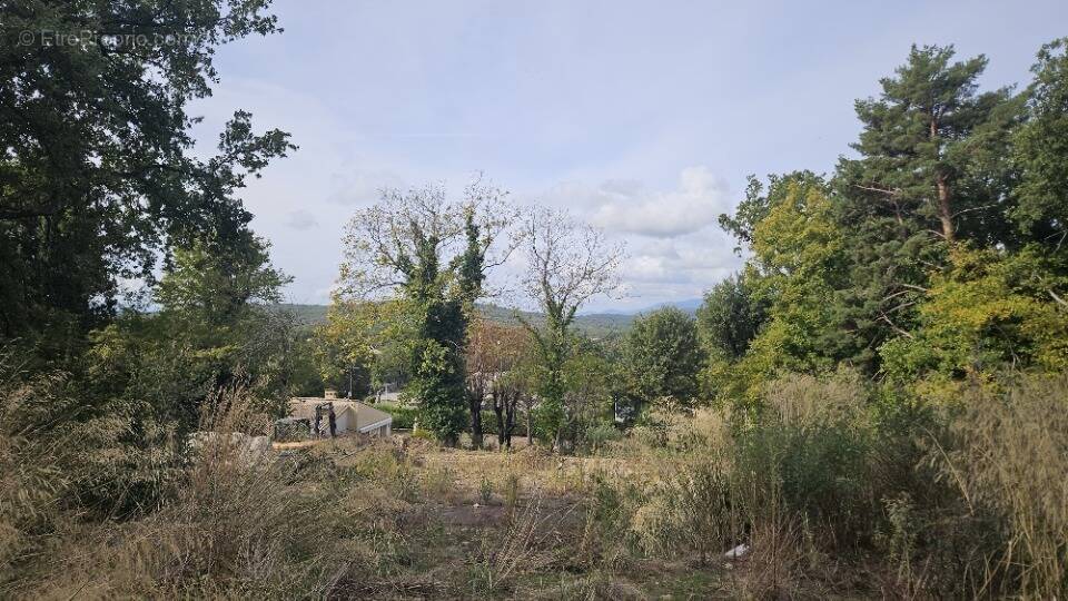 Terrain à SAINT-VALLIER-DE-THIEY