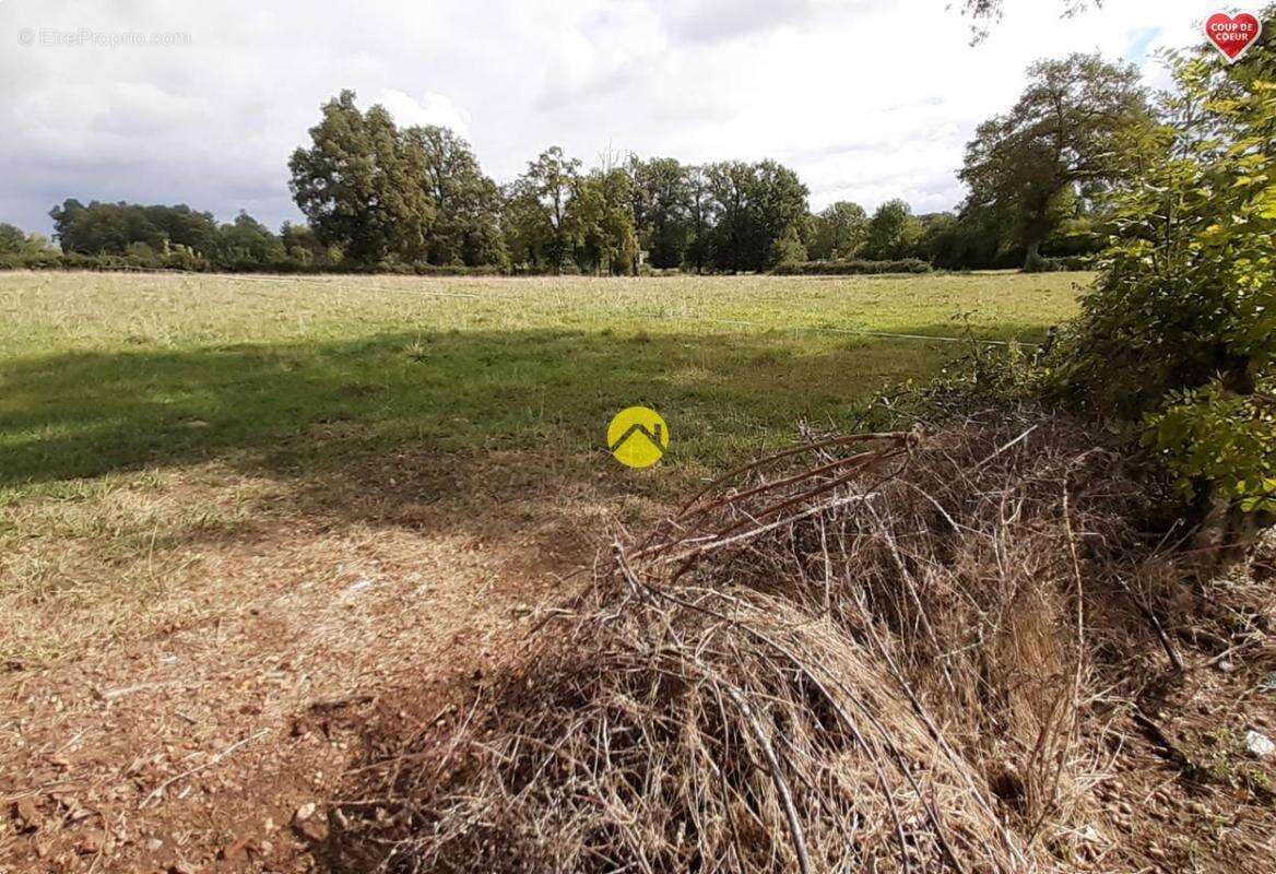 Terrain à SAINT-MARTINIEN