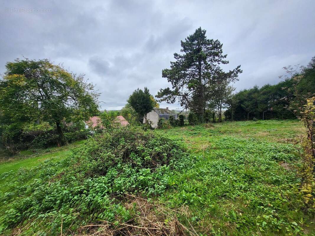 Terrain à vendre - photo 3