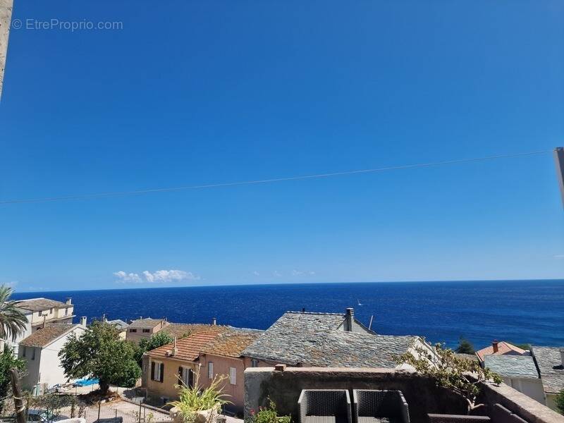 Maison à SAN-MARTINO-DI-LOTA