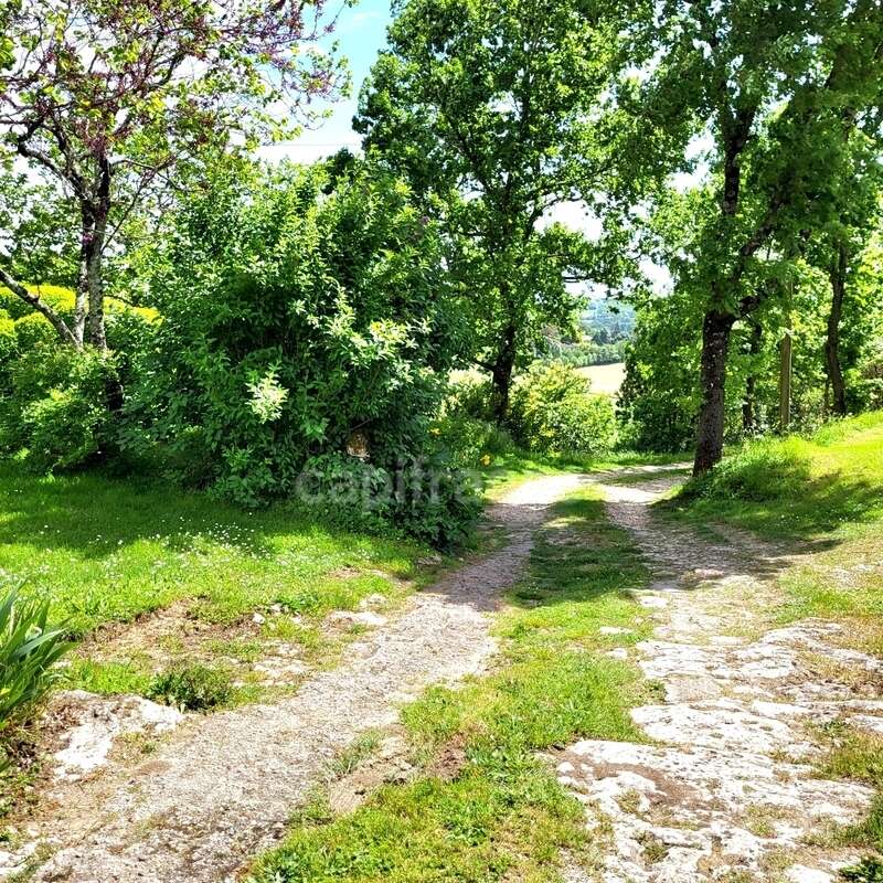 Maison à SAINT-CLAR