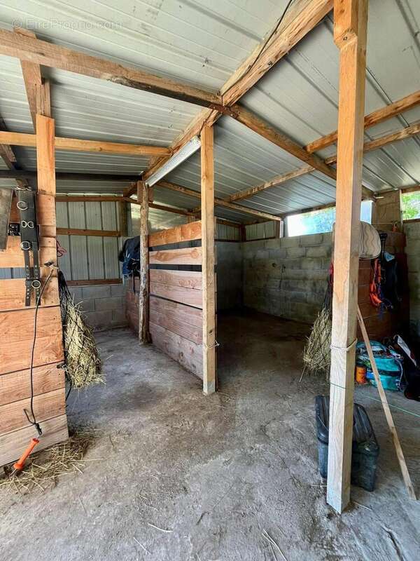 Photo 7 - Maison à MONTALIEU-VERCIEU