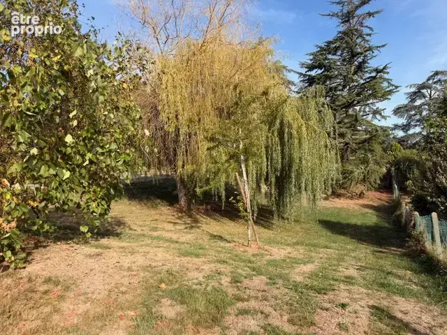 Terrain 841 m2 - viabilise - centre village dommartin - photo 2