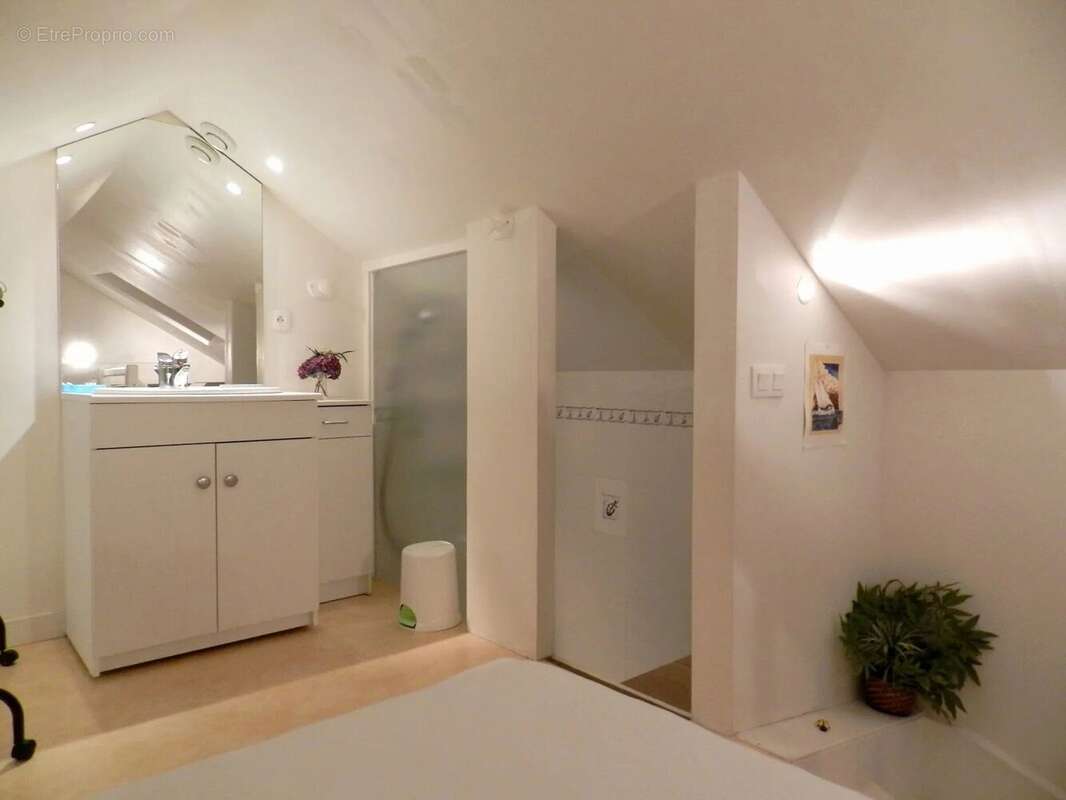 Maison de charme avec locatifs 206 m² de plain-pied – St Nolff 10 minutes du centre de Vannes - photo 25