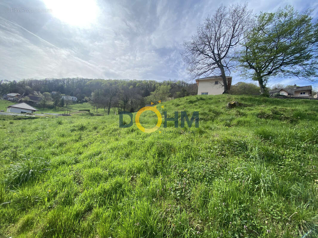 Terrain à bâtir de 851 m2 - photo 4