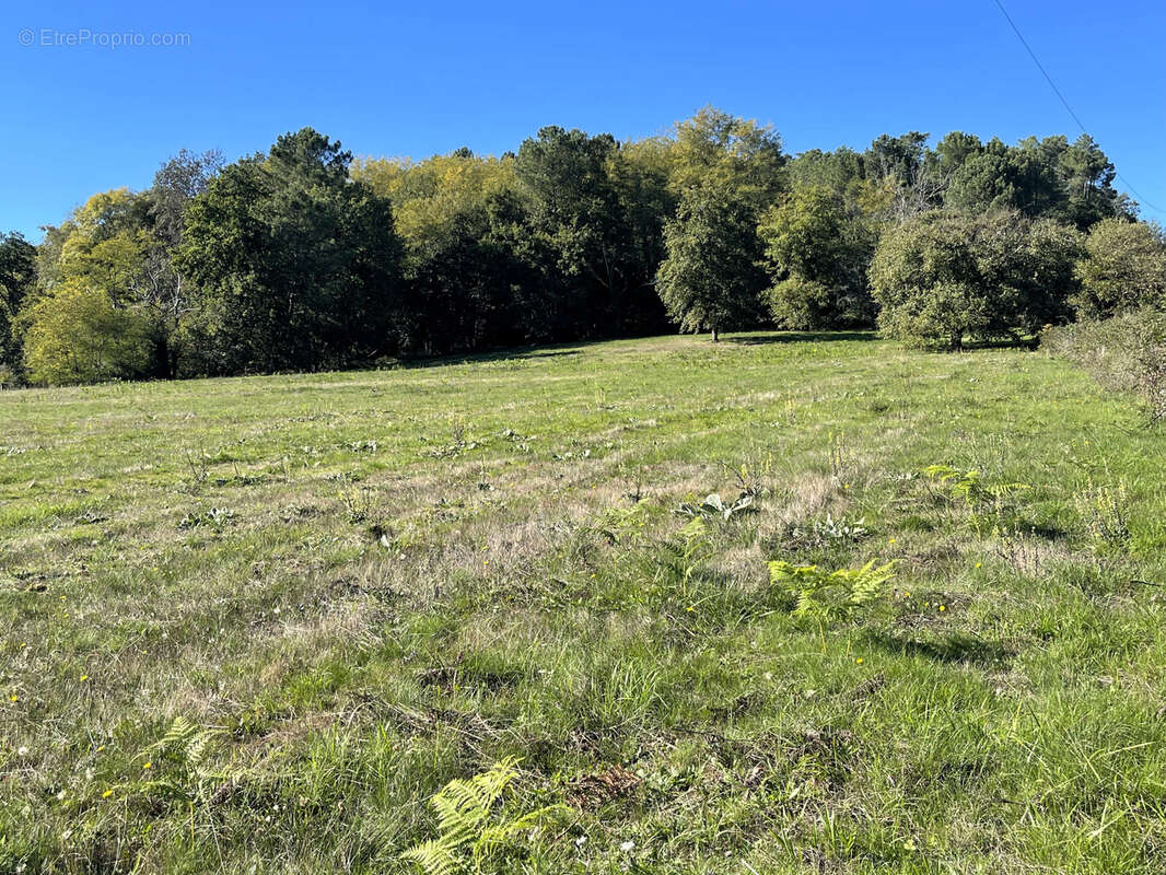 Terrain à VILLAMBLARD