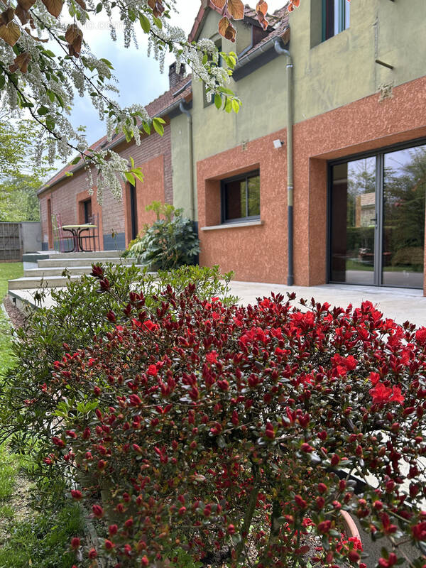 Maison à POMMERA