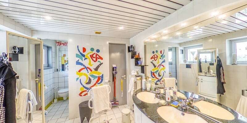 Dpt Haut-Rhin (68), à vendre MULHOUSE maison d'architecte 372 m2 dans son magnifique jardin - photo 13