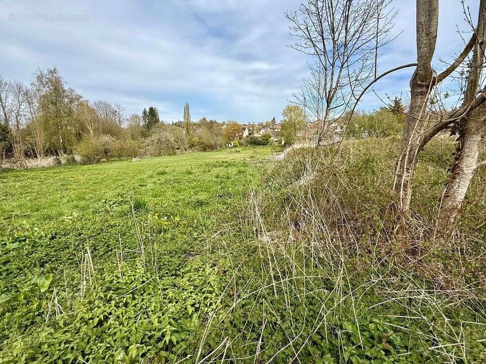 Terrain à DONNEMARIE-DONTILLY