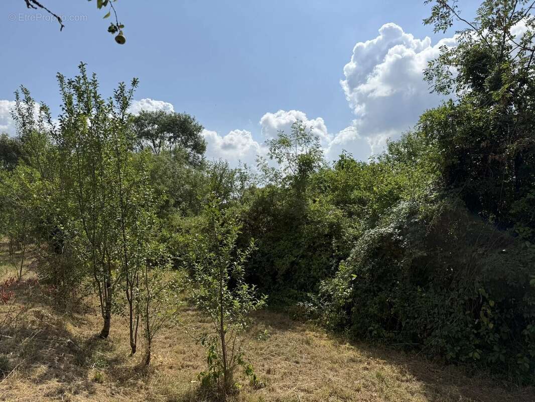 Maison de village avec 2 logements - photo 16