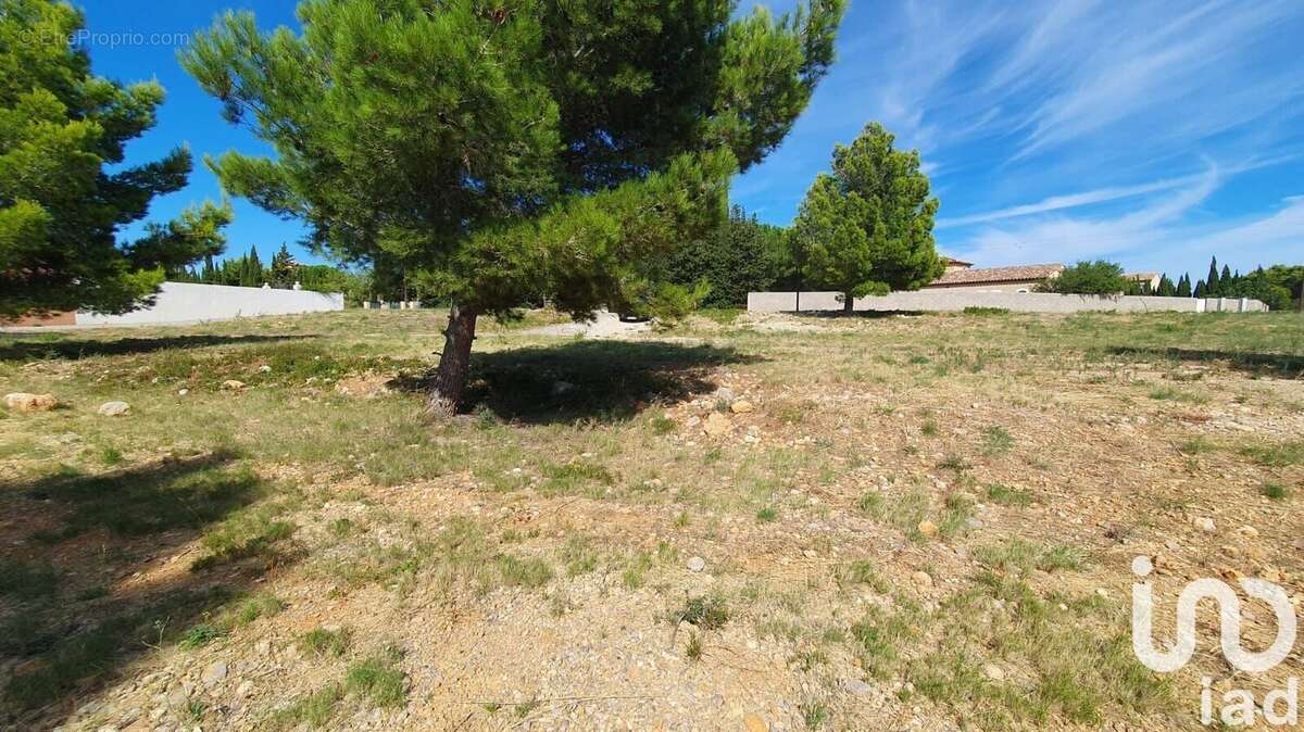 Photo 3 - Terrain à LA PALME