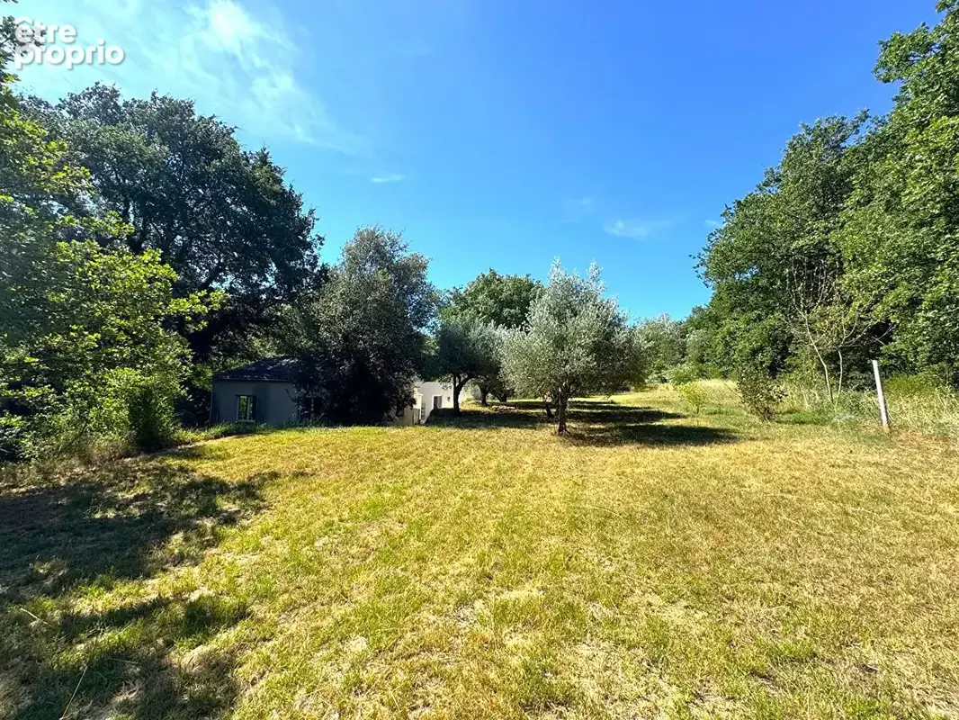 Maison Le Pin - 7 pièces - 155 m² - Terrain de 4470 m² - photo 4