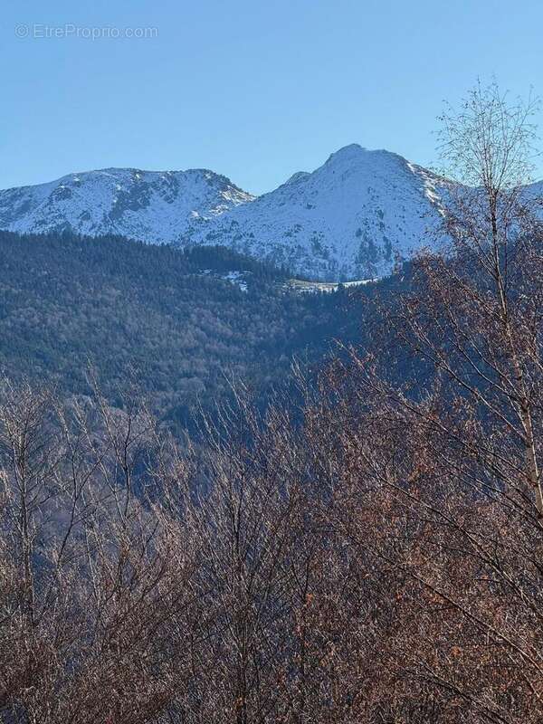  - Appartement à PRADES