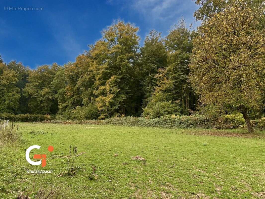 Maison à LA FEUILLIE