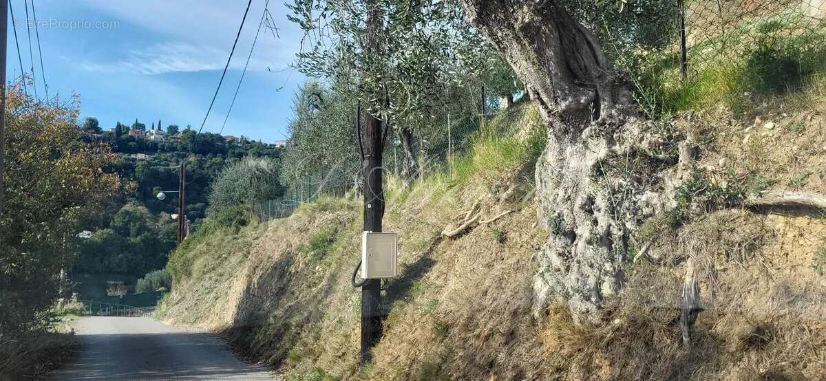 Terrain à NICE
