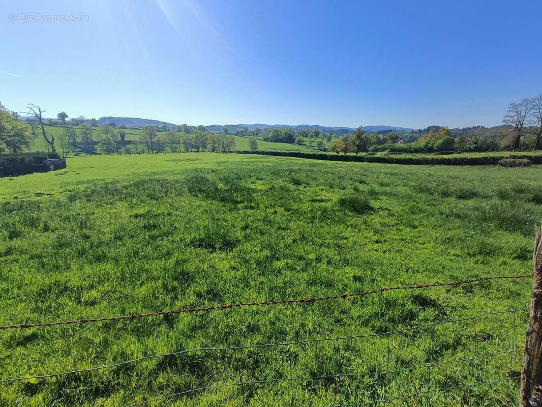 Photo 4 - Terrain à CHASSIGNY-SOUS-DUN