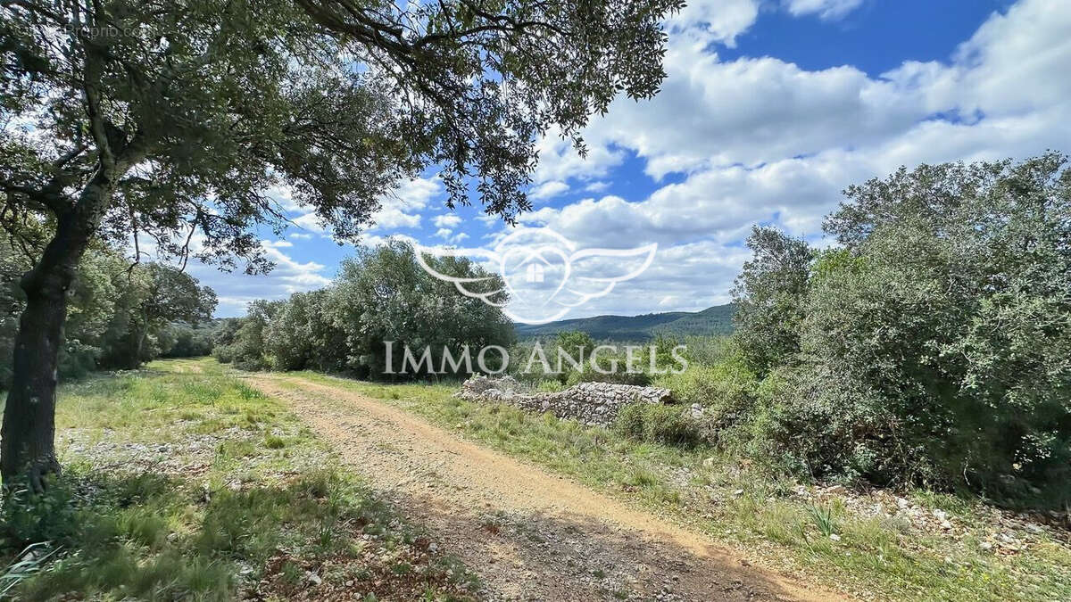 Terrain à MONTARNAUD