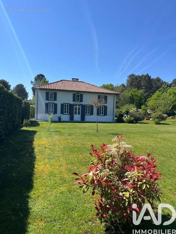 Maison 170 m² à Solferino  - photo 4