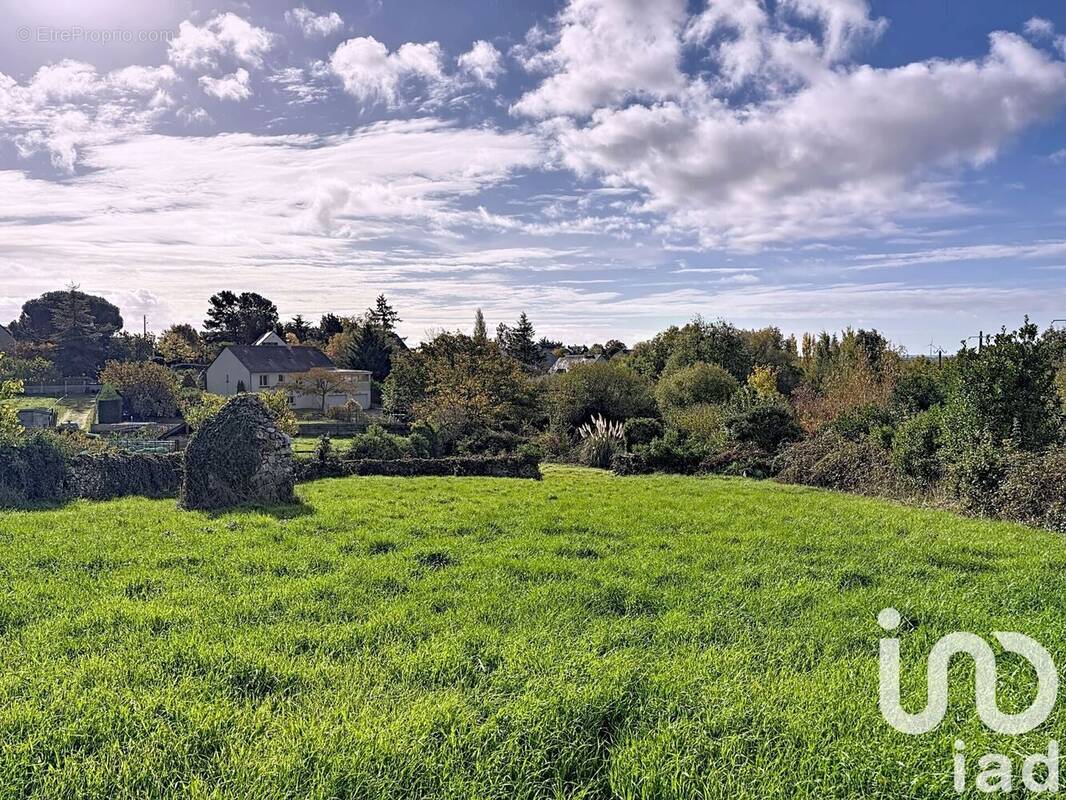 Photo 1 - Terrain à BEAULIEU-SUR-LAYON