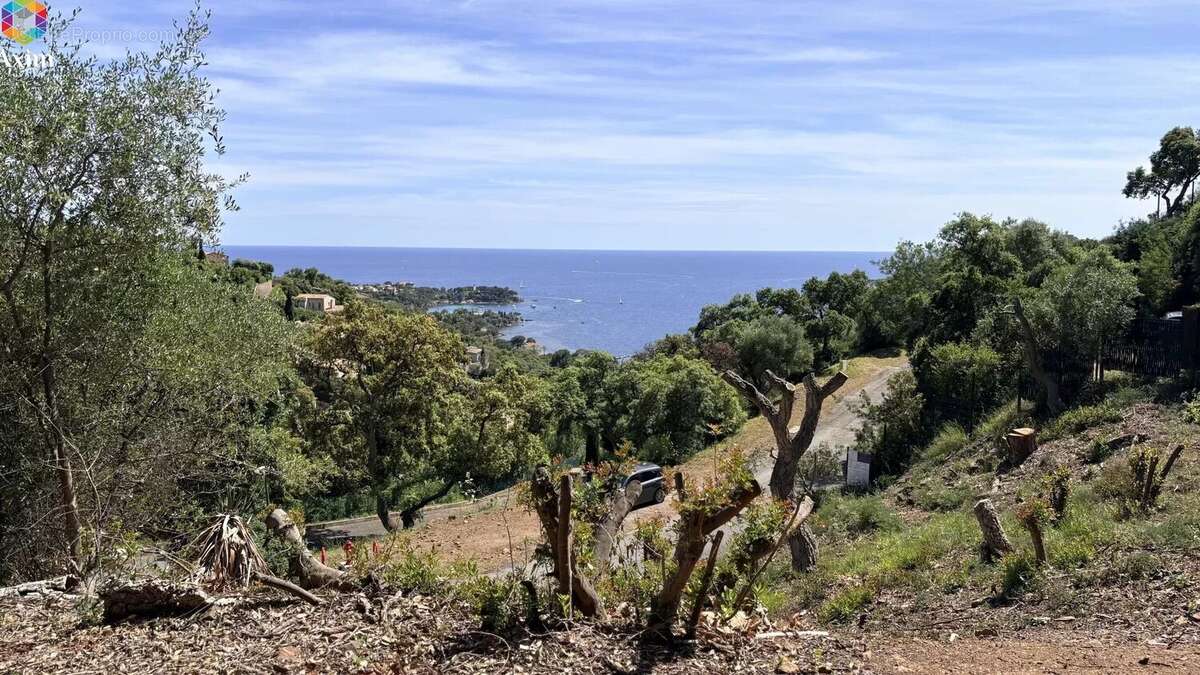 Terrain à LA SEYNE-SUR-MER