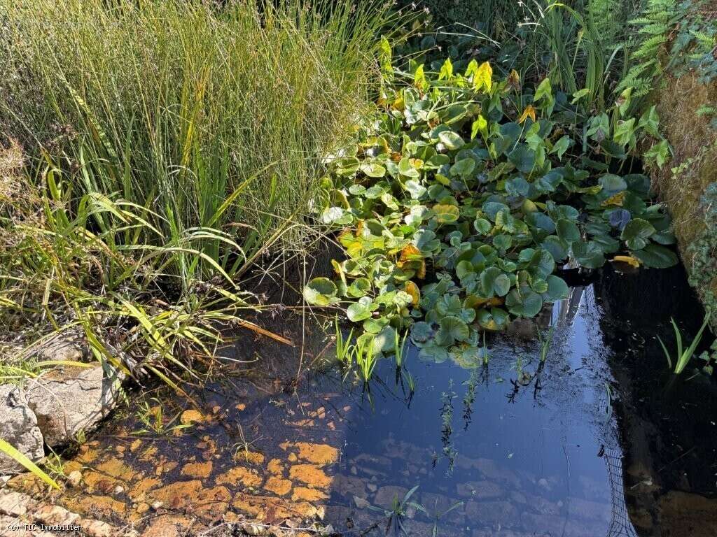 Maison à VERTEUIL-SUR-CHARENTE