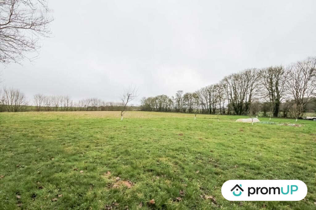 Terrain à CHAILLOUE