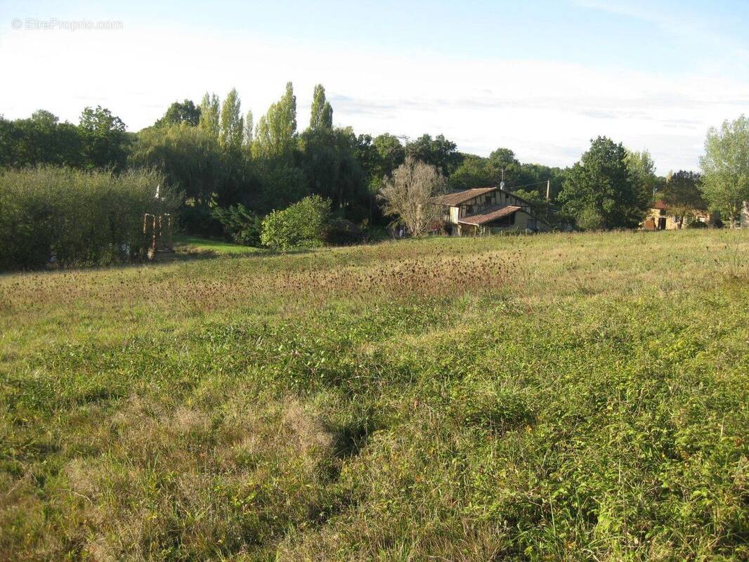 Terrain à SABONNERES