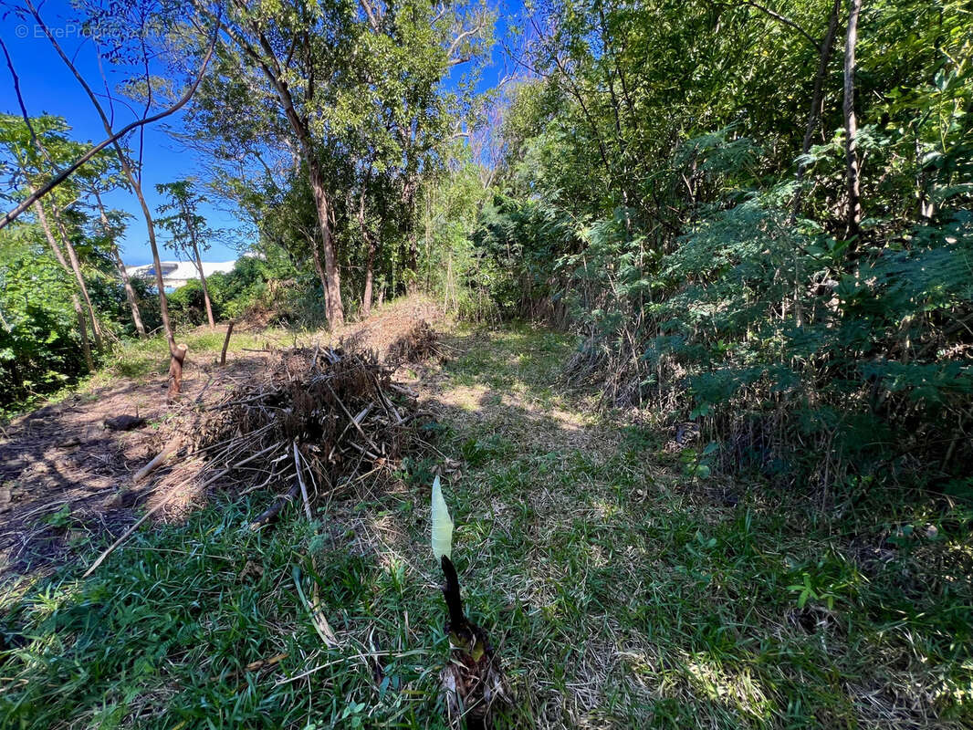 Maison à SAINT-JOSEPH