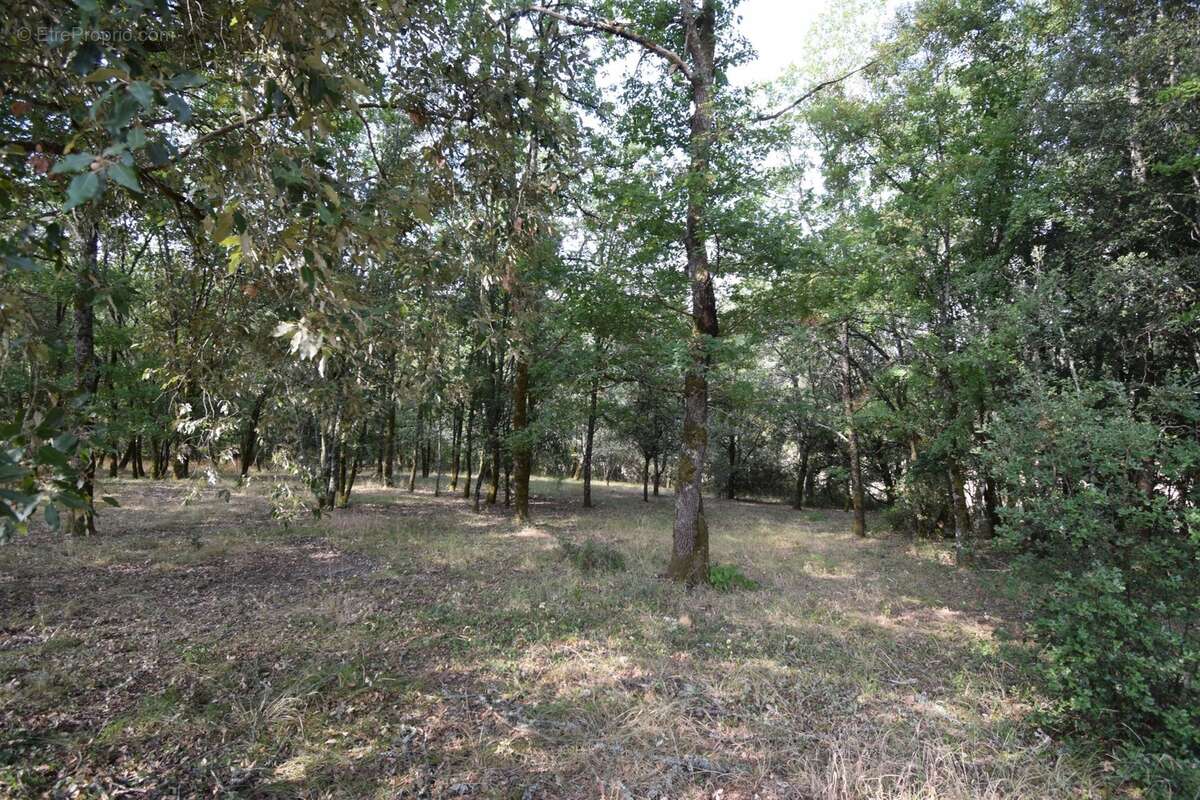 Belle Propriété à vendre 5 pièces VERS (46) - photo 19