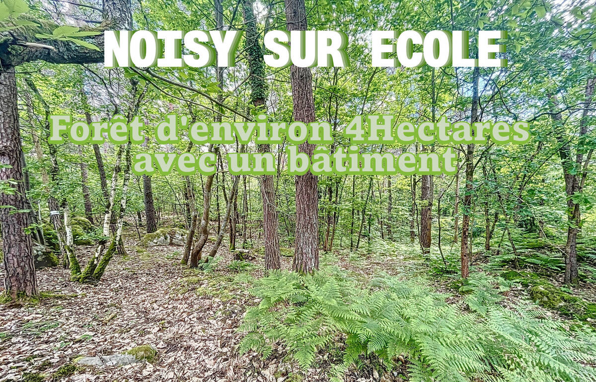 Terrain à NOISY-SUR-ECOLE