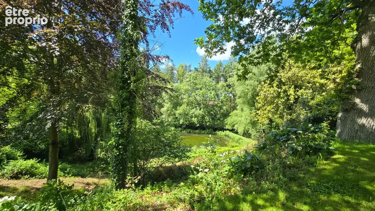 Manoir, gîte, étang et bois, dans petit hameau, entre Terre et Mer, secteur Dinan, Plancoet - photo 9