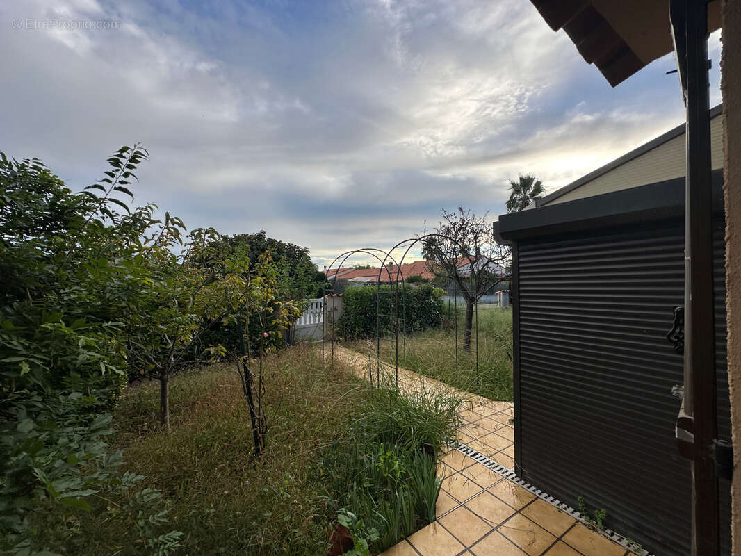 Maison à MONTESQUIEU-DES-ALBERES