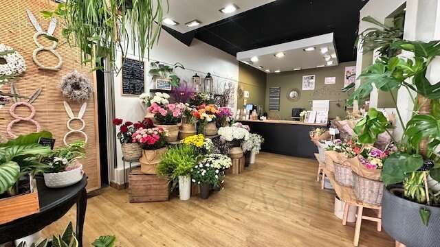 Commerce à CASTRIES