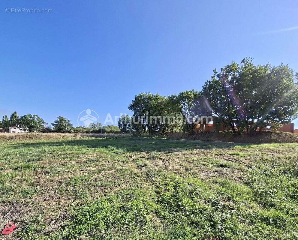 Terrain à GRAGNAGUE