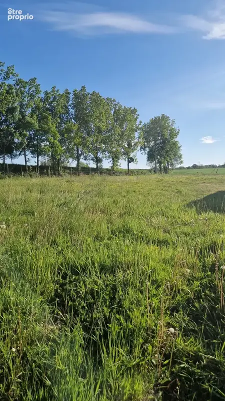 Terrain à NOTRE-DAME-D'ALLENCON