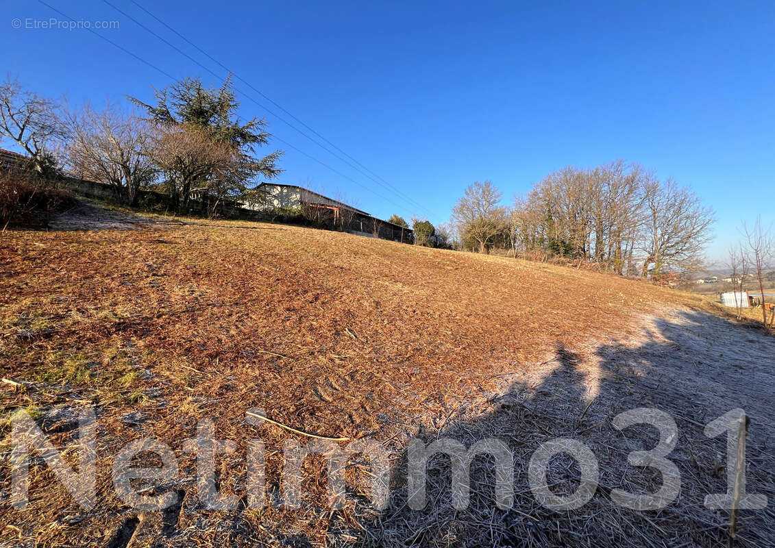 Terrain à SAIX