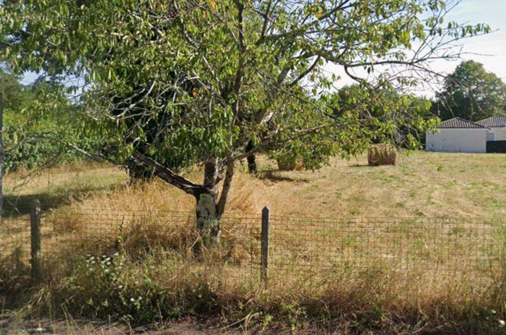 Terrain à COULOUNIEIX-CHAMIERS