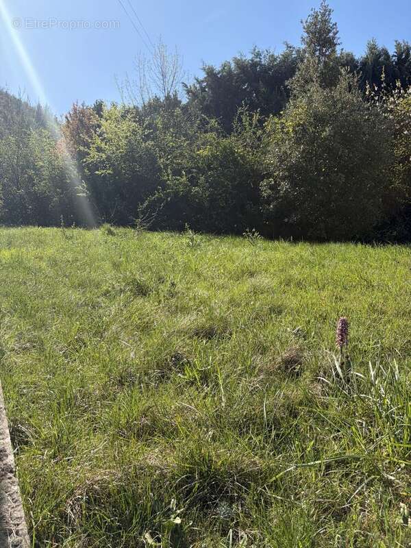 Terrain 820 m² à Coux  - photo 6