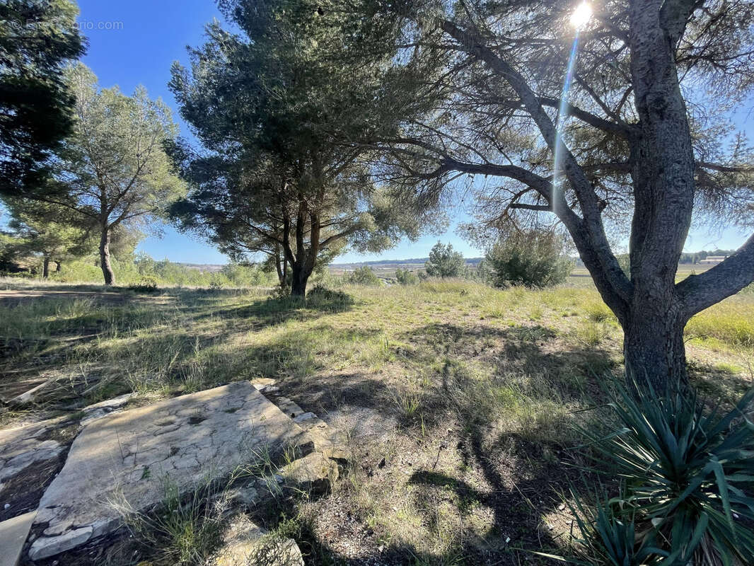 Maison à VILLEVEYRAC