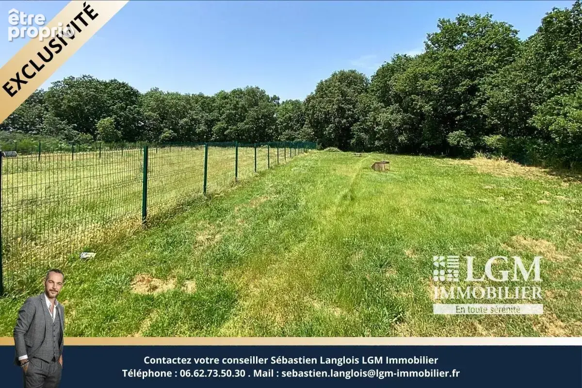 Plaisance du Touch, Propriété avec maison de 120m2 et bâtiment de 380m2 sur 1,59 hectare - photo 15