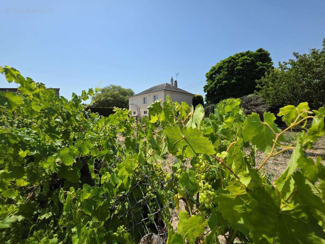 Photo 3 - Maison à NOYANT