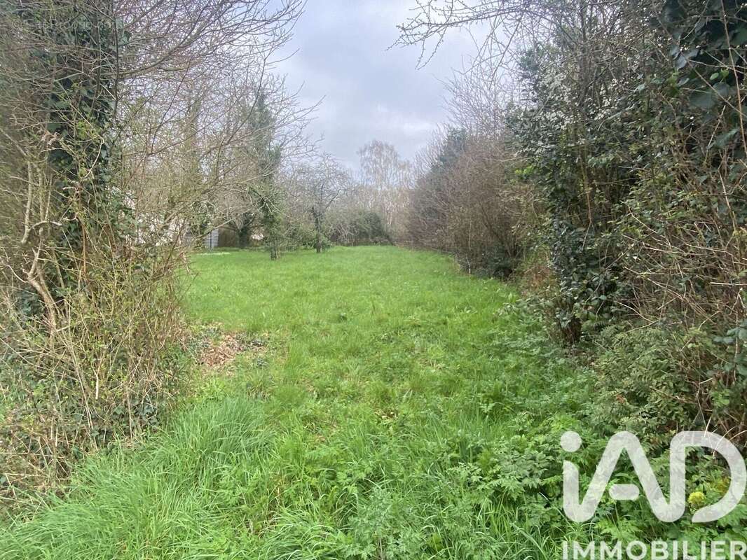 Photo 3 - Terrain à VIGNEUX-DE-BRETAGNE