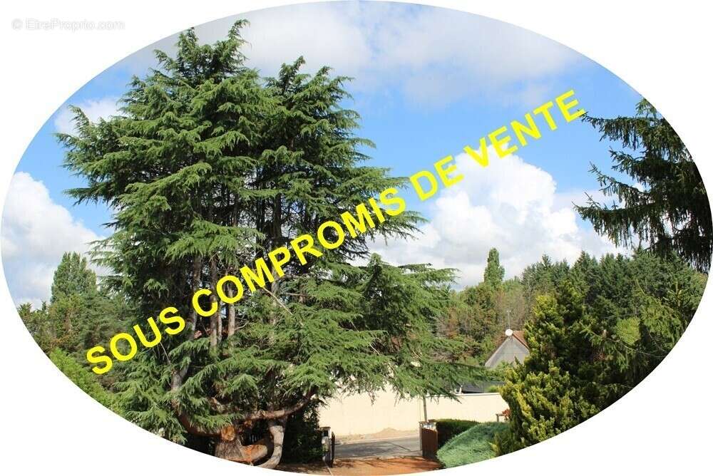 Maison à LA GUERCHE-SUR-L&#039;AUBOIS