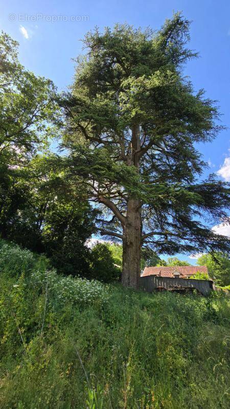Terrain à BIARD