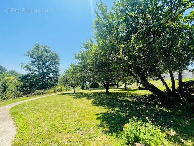 Maison à SAINT-SEBASTIEN-D&#039;AIGREFEUILLE