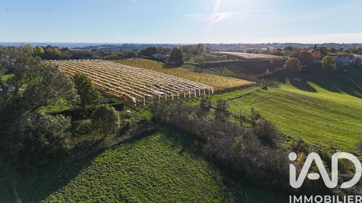 Photo 1 - Terrain à MOISSAC