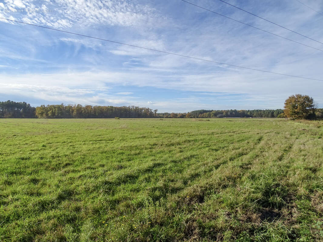 Maison à PRUNIERS-EN-SOLOGNE
