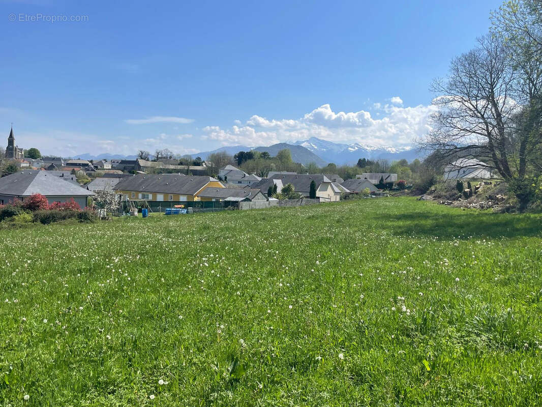 Terrain à POUEYFERRE